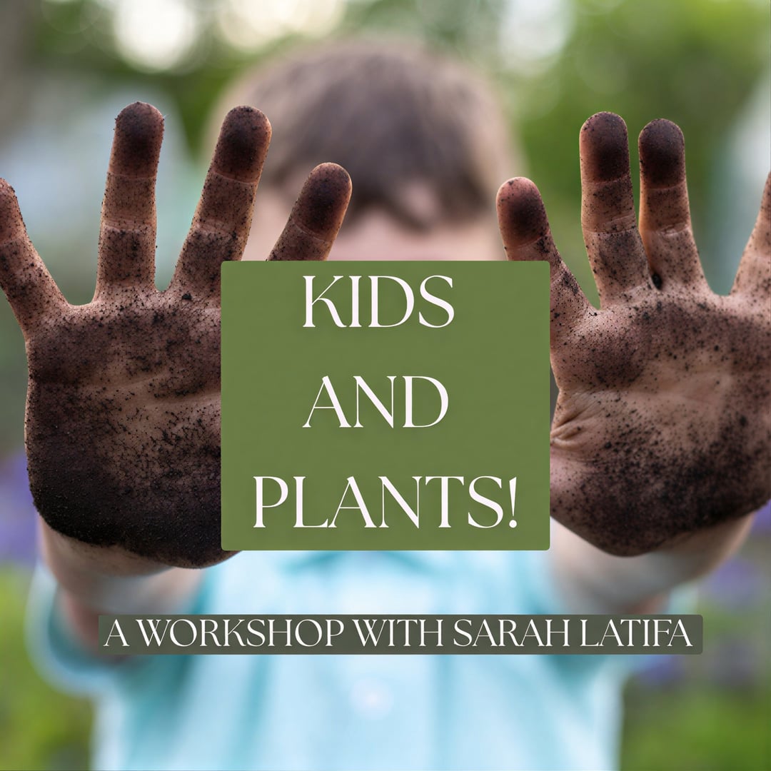 Kids et Plantes ! — The Abode