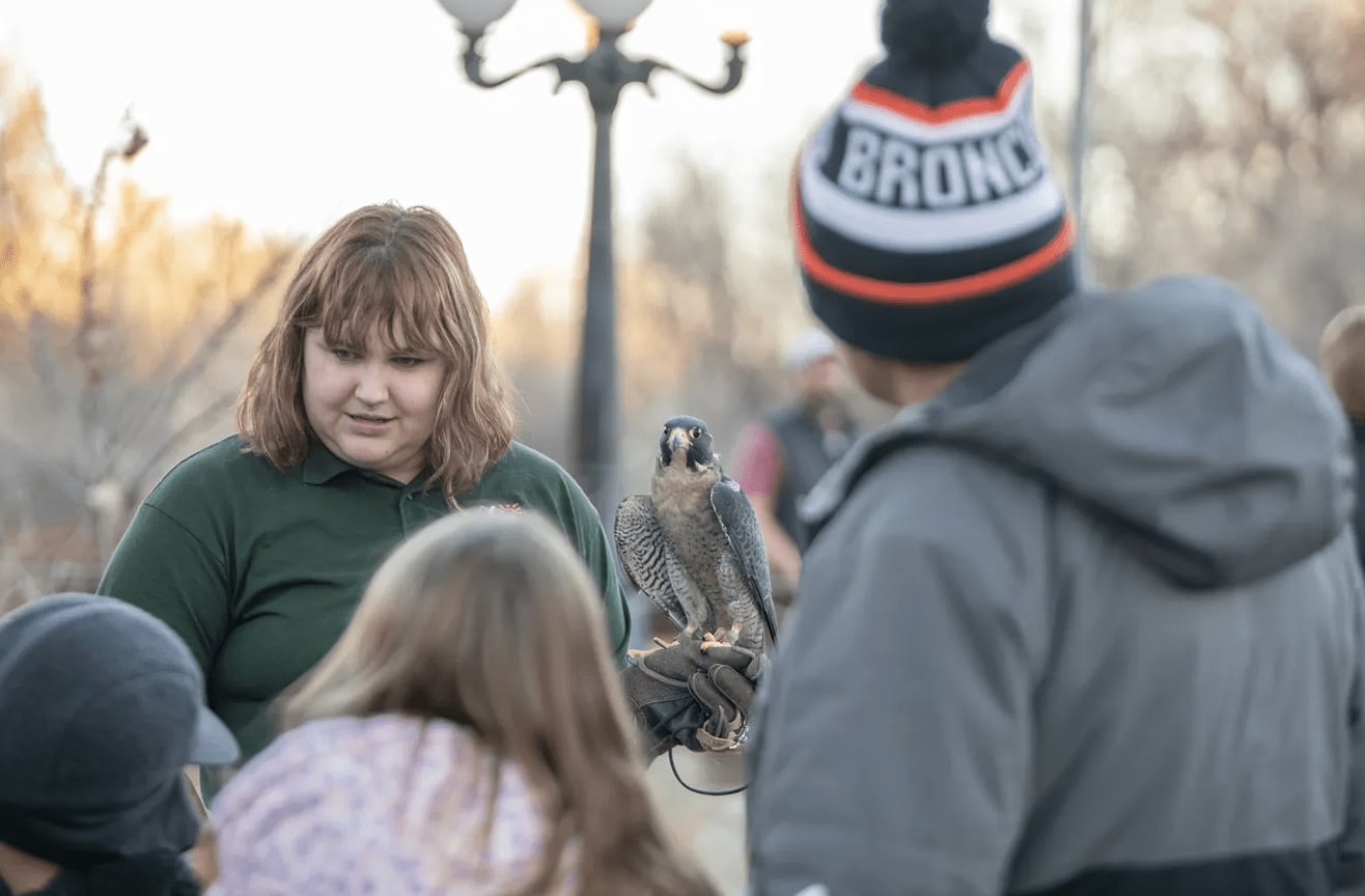 AVAS 4e samedis de promenade ornithologique