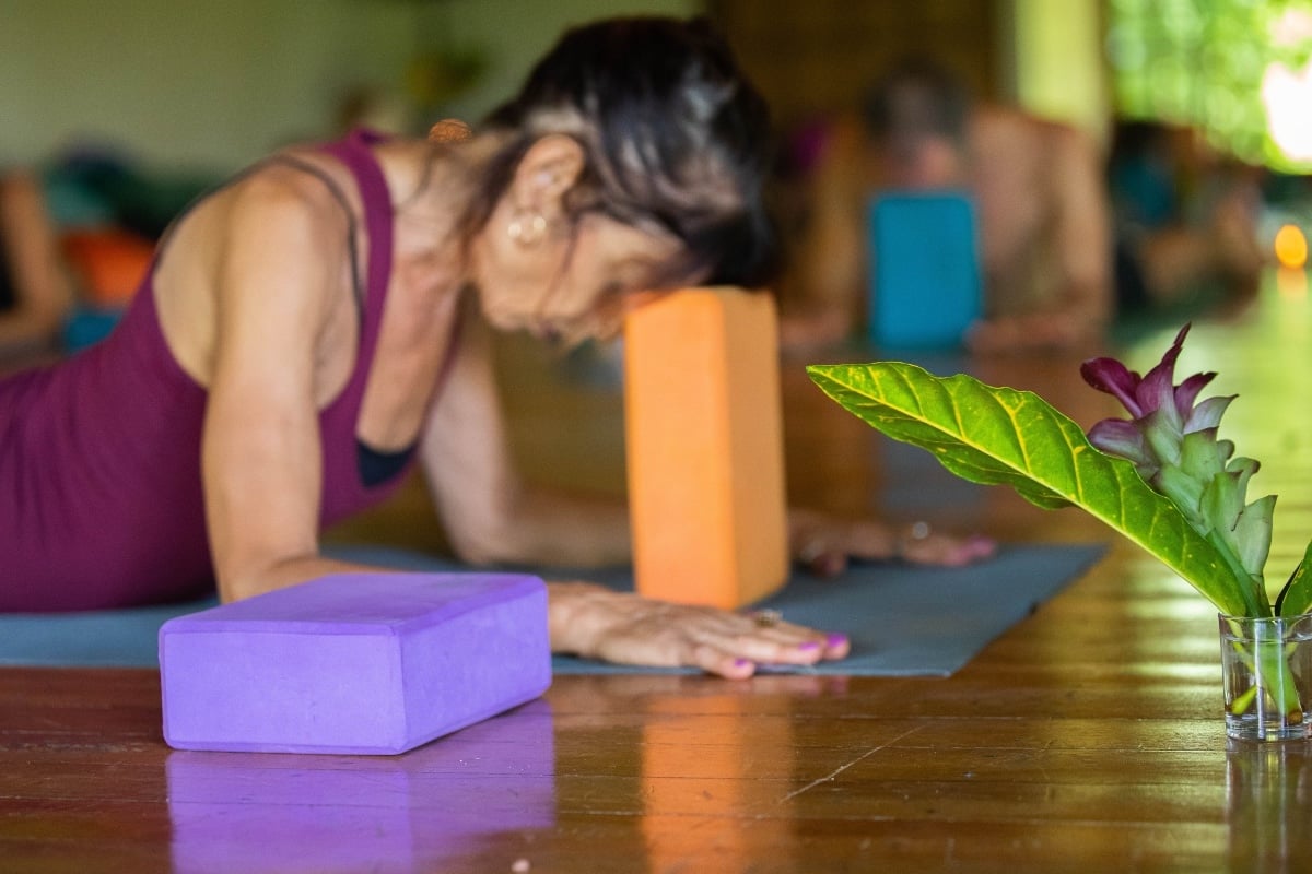 Formation en yoga restauratif et méditation