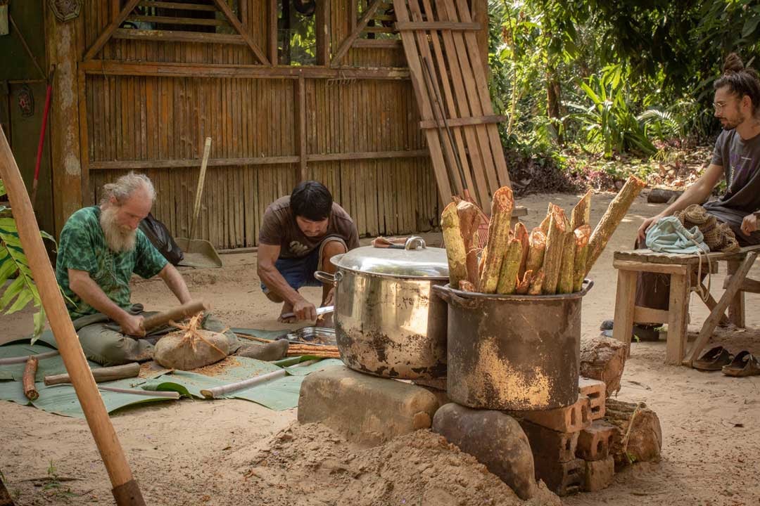 Cérémonie d’Ayahuasca