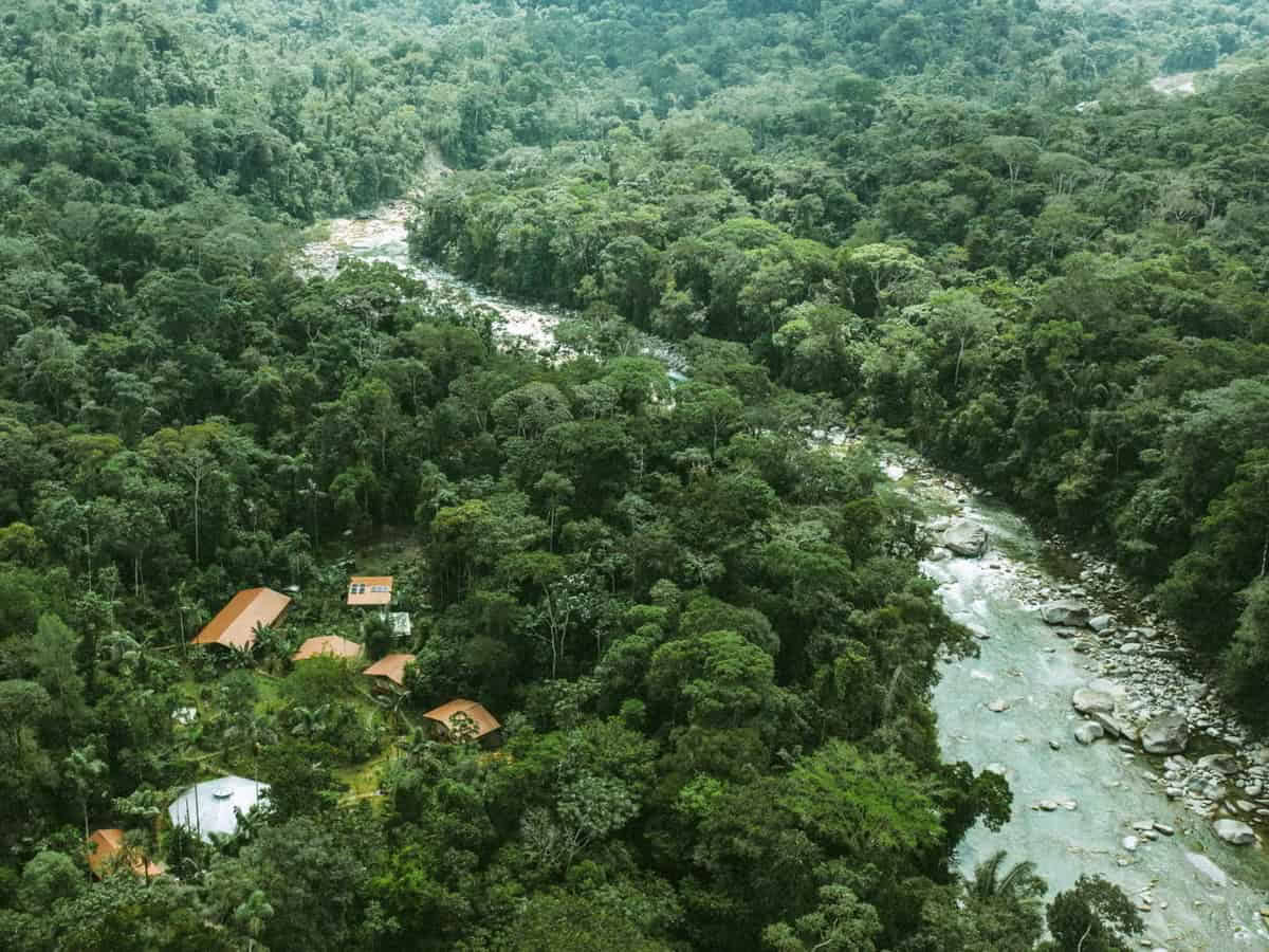 Retraite d'Ayahuasca de 5 jours en Équateur