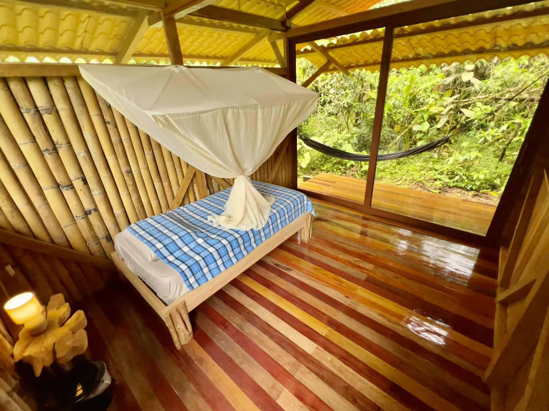 Retraite d'Ayahuasca de 5 jours en Équateur