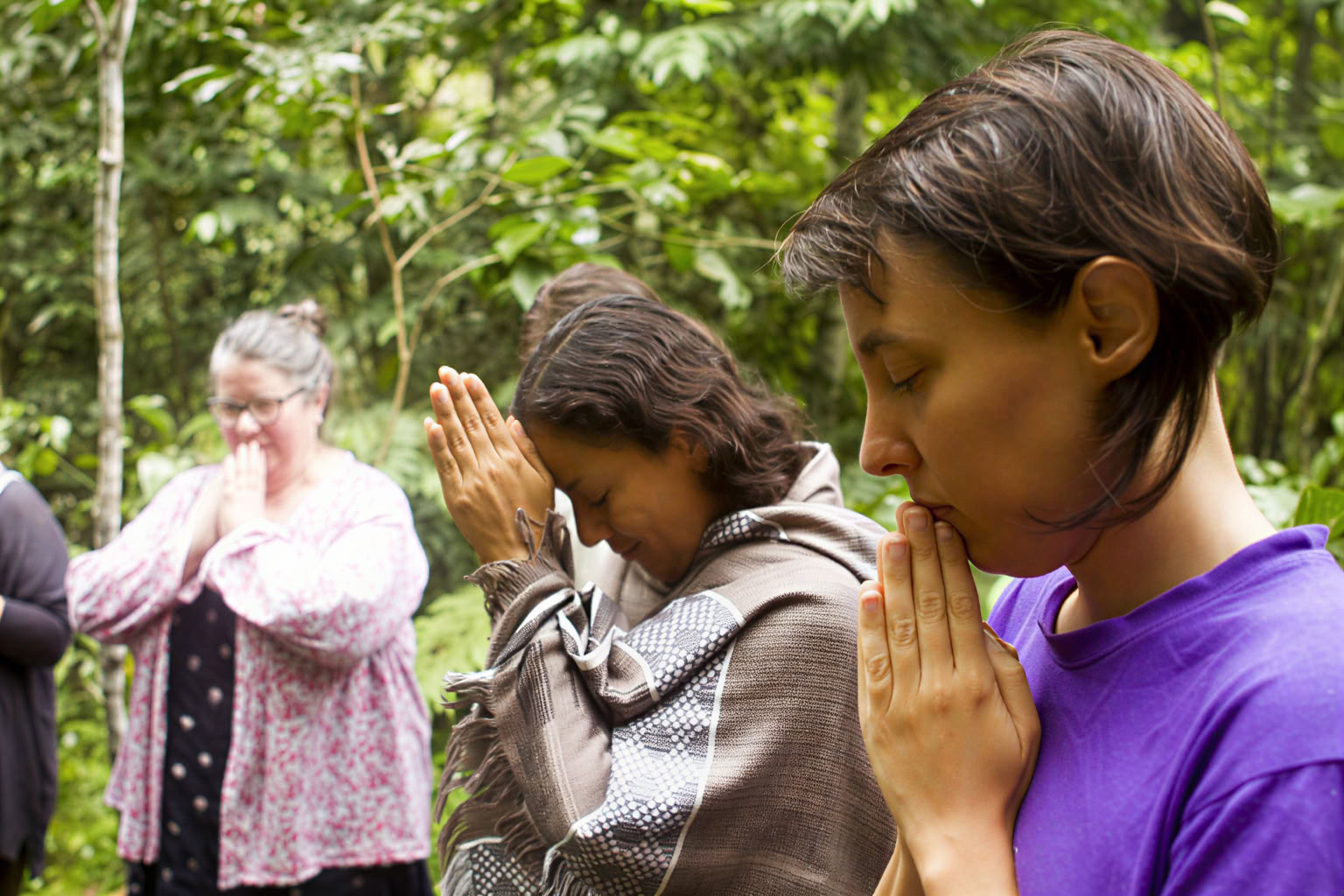 14 jours – diète d’ayahuasca et de plantes maîtresses pour femmes