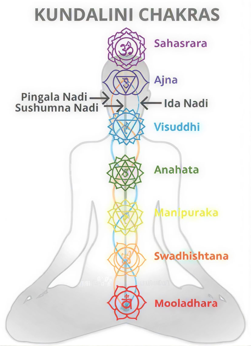Osho Dynamic & Méditations No-Mind. Au Festival Mandala