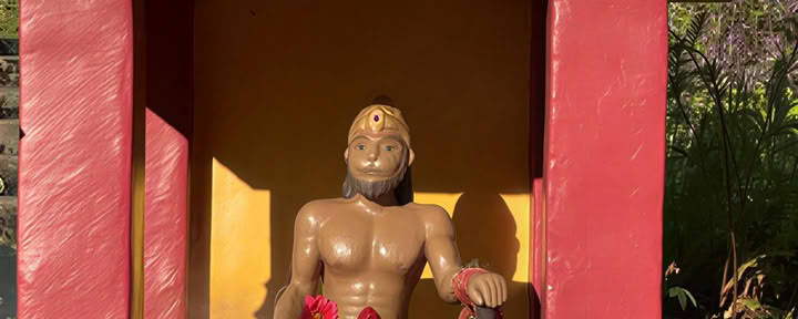Hanuman Puja