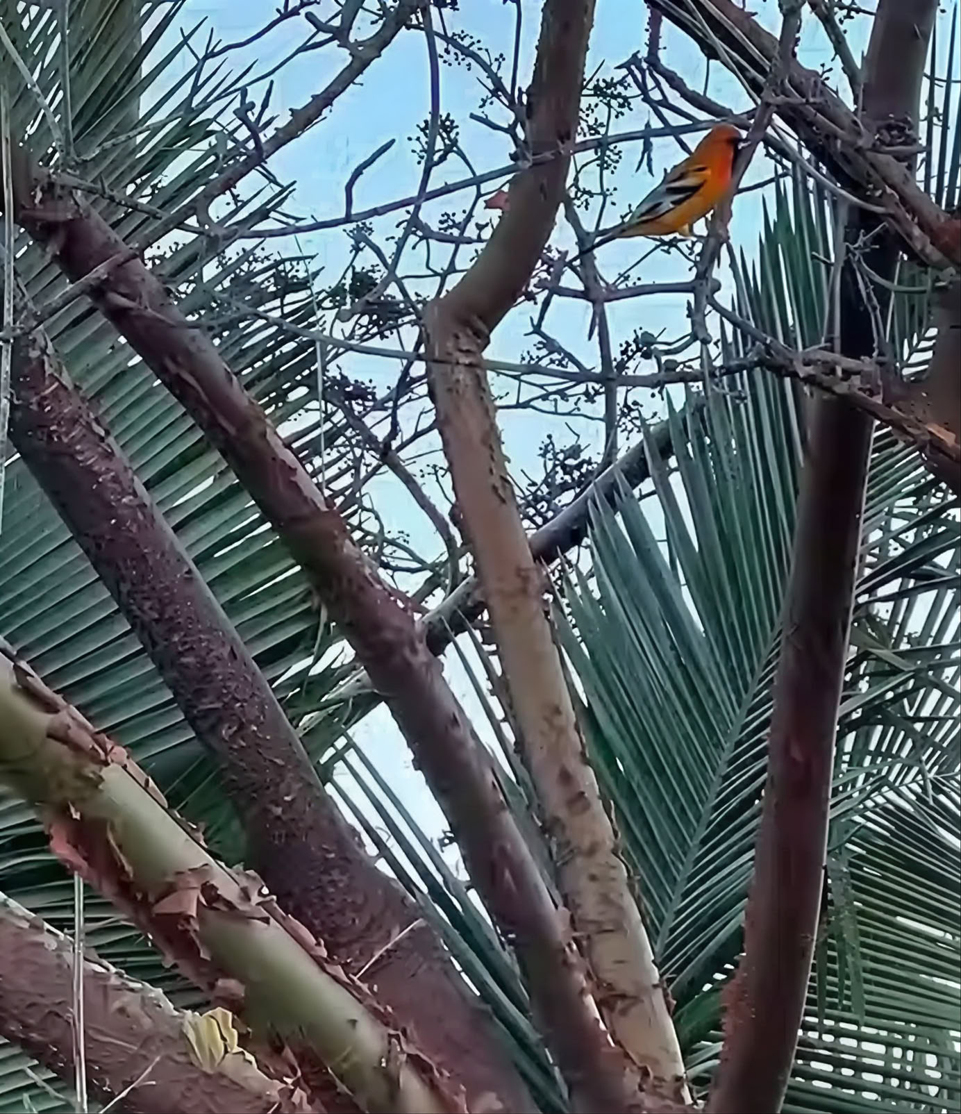 Retraite d'alignement de l'âme