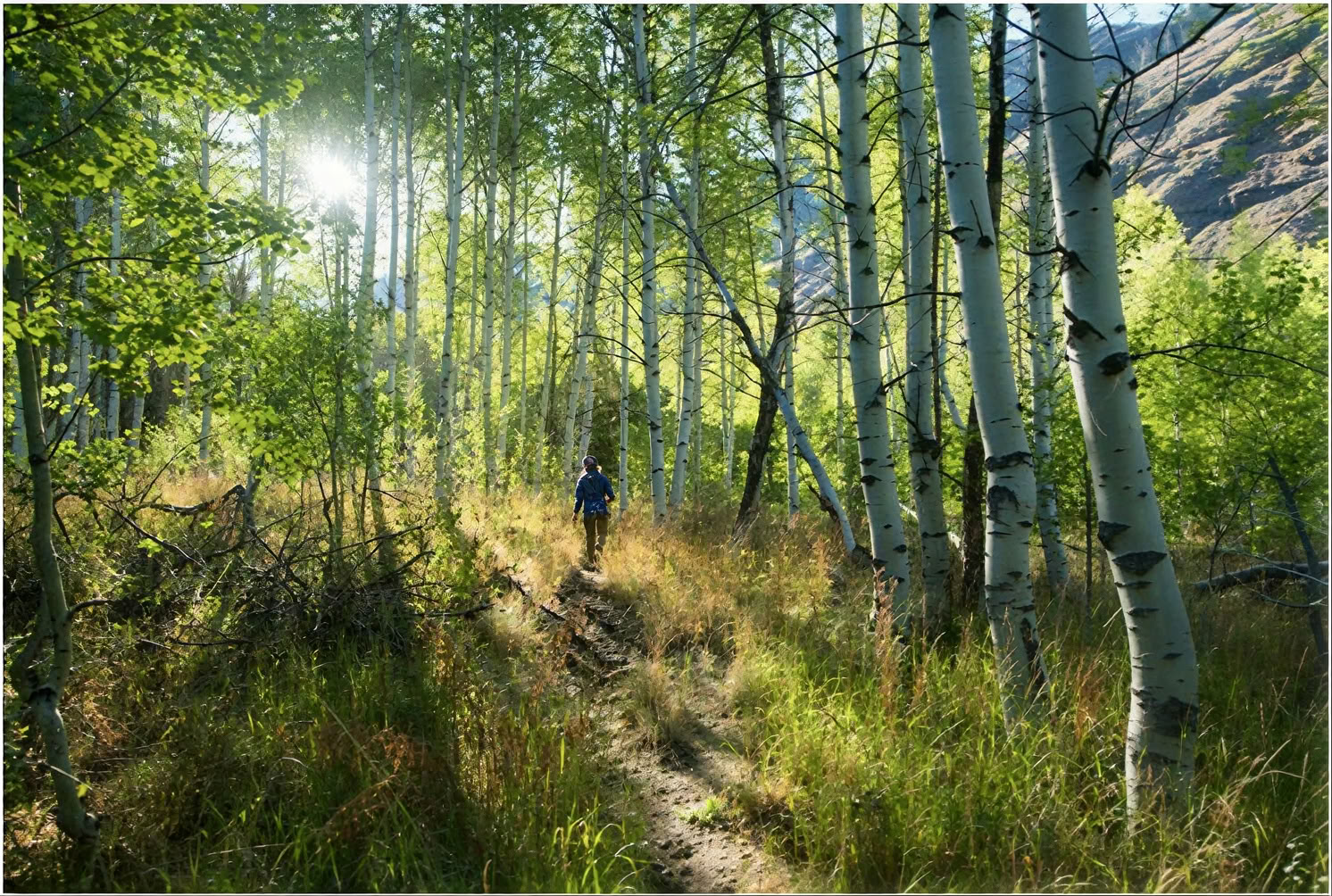 Le cœur de la montagne Sesshin : une retraite de randonnée au Bells Mountain Dharma Center