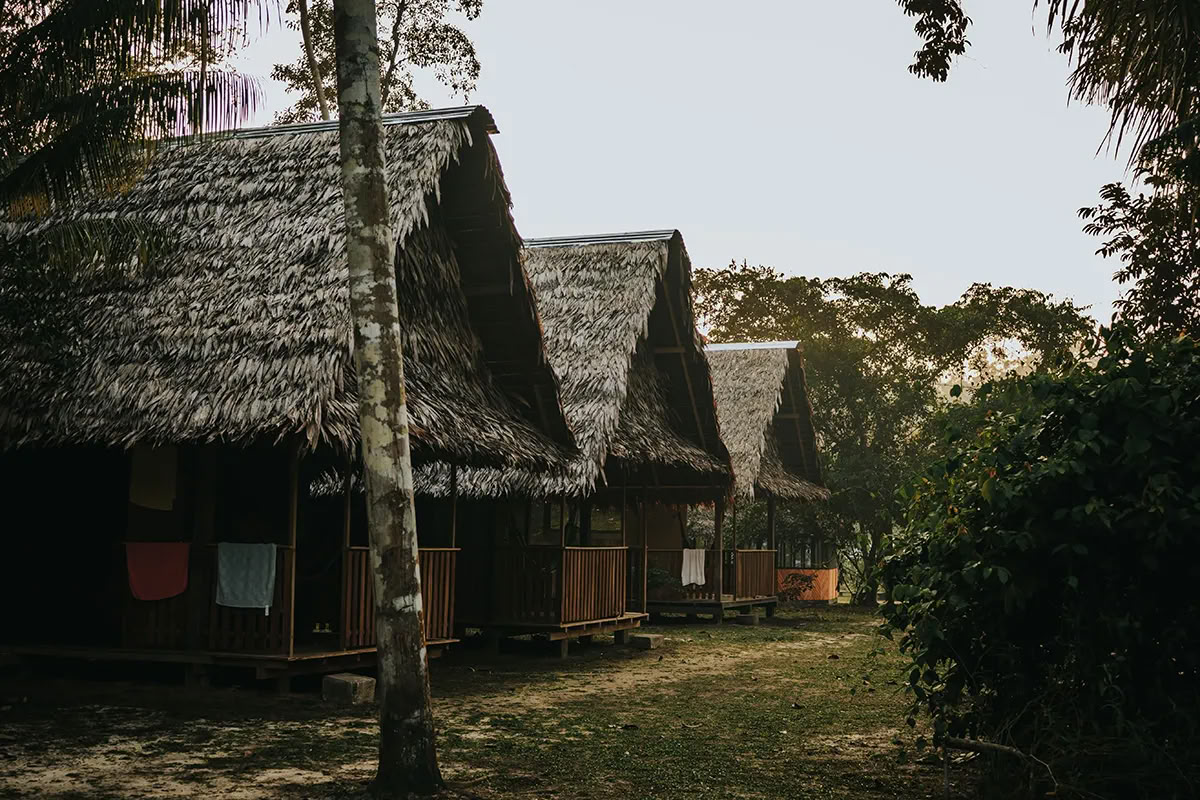Retraite Ayahuasca Transformation