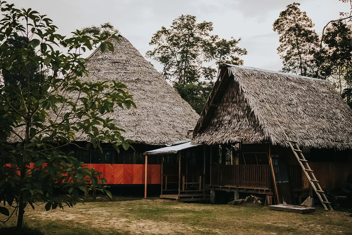 Retraite Ayahuasca Transformation