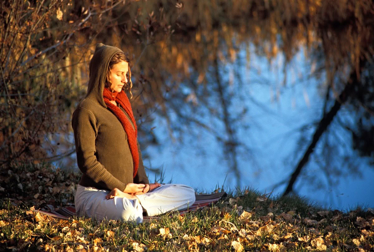 Roots de la Résilience : Yoga & Le Travail qui Reconnecte
