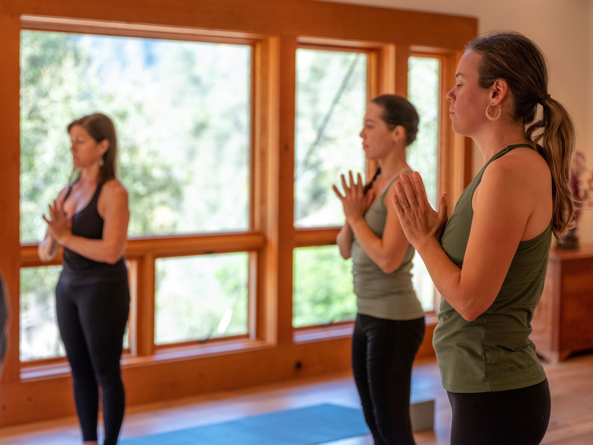 Roots de la Résilience : Yoga & Le Travail qui Reconnecte