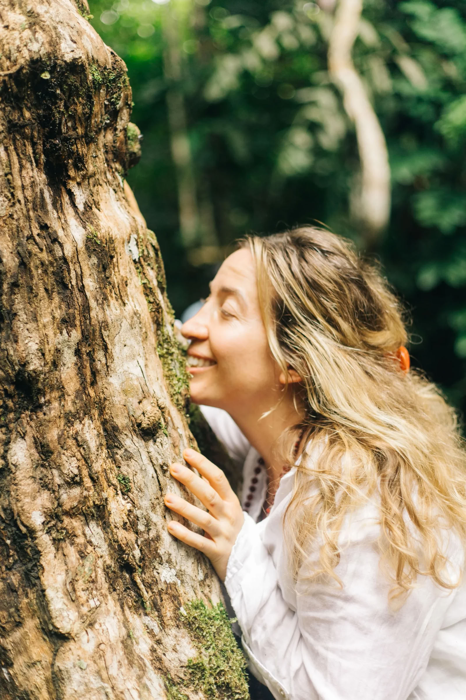 Retraite d'ayahuasca de 11 jours au Pérou – 18 - 28 septembre 2026 | Shipibo Healing & Integration