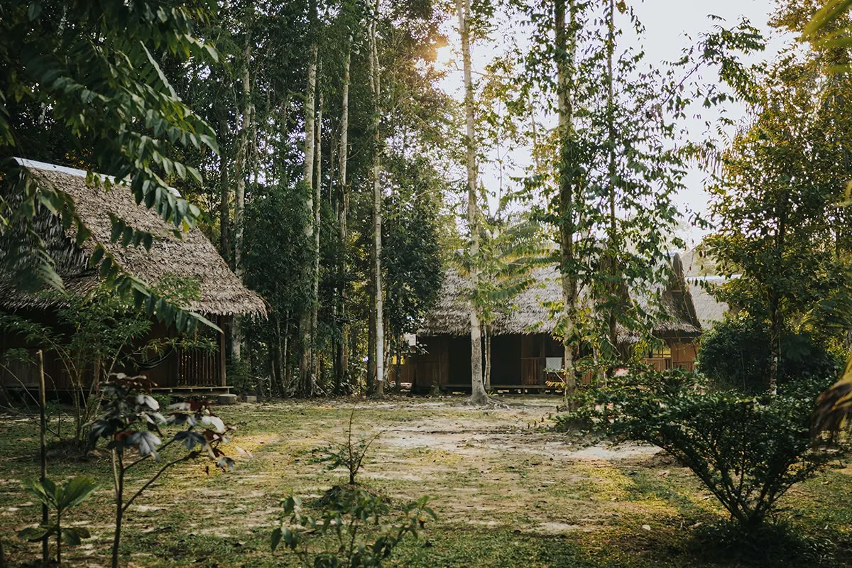 11 jours de retraite d’Ayahuasca au Pérou – 24 juillet - 3 août 2026 | Shipibo Healing & Integration