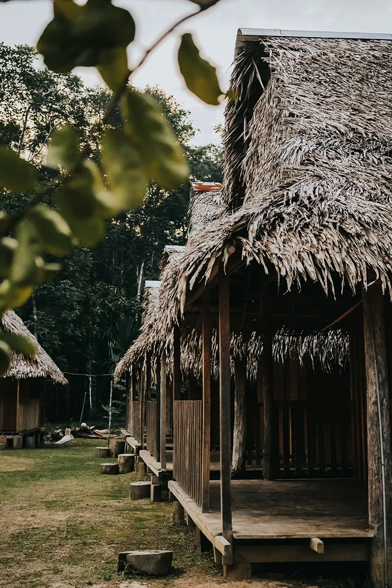 11 jours de retraite d'Ayahuasca au Pérou – 30 mai - 9 juin 2026 | Shipibo Healing & Integration