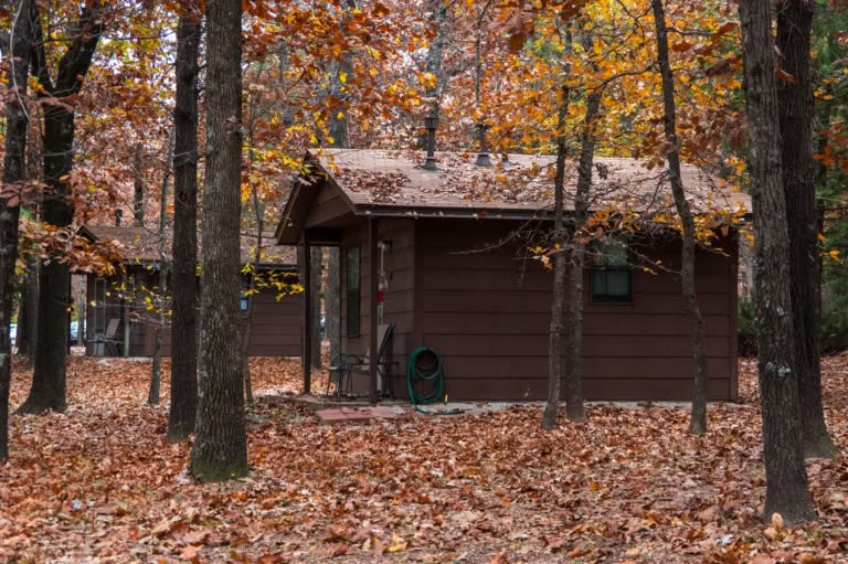 Family Day à la forêt — Forest of Peace