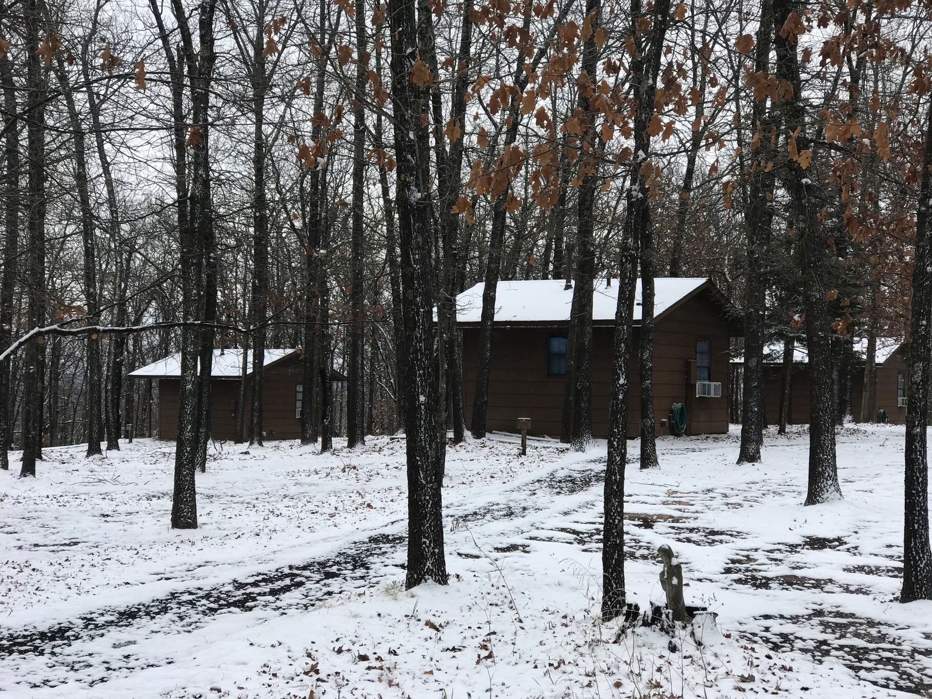 Family Day à la forêt — Forest of Peace