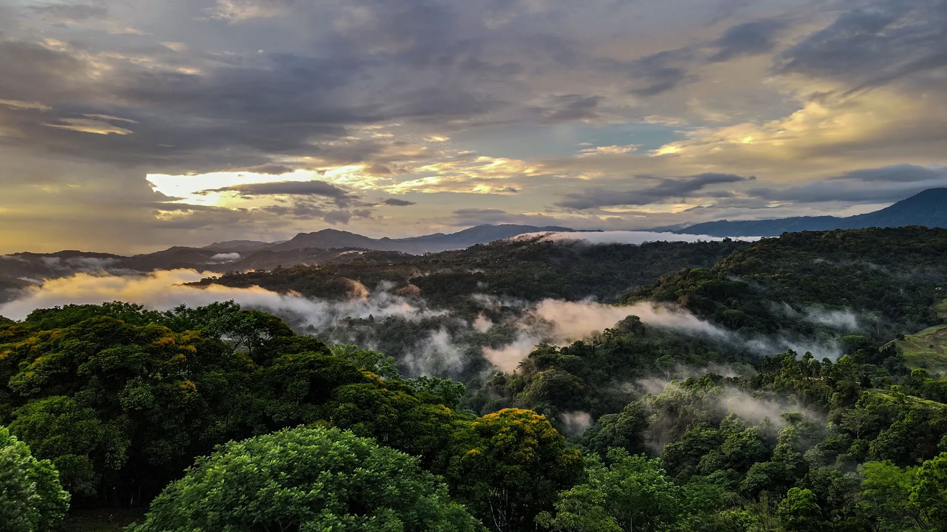 Retraite Ayahuasca de 5 nuits