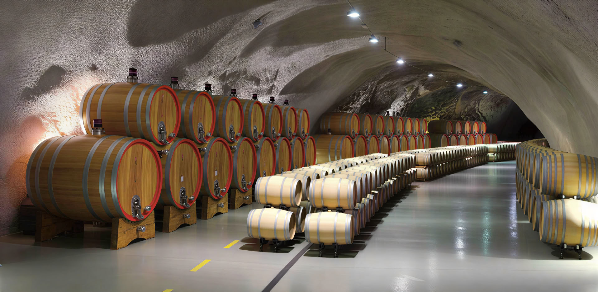 Visite des vins traditionnelle et moderne mixte