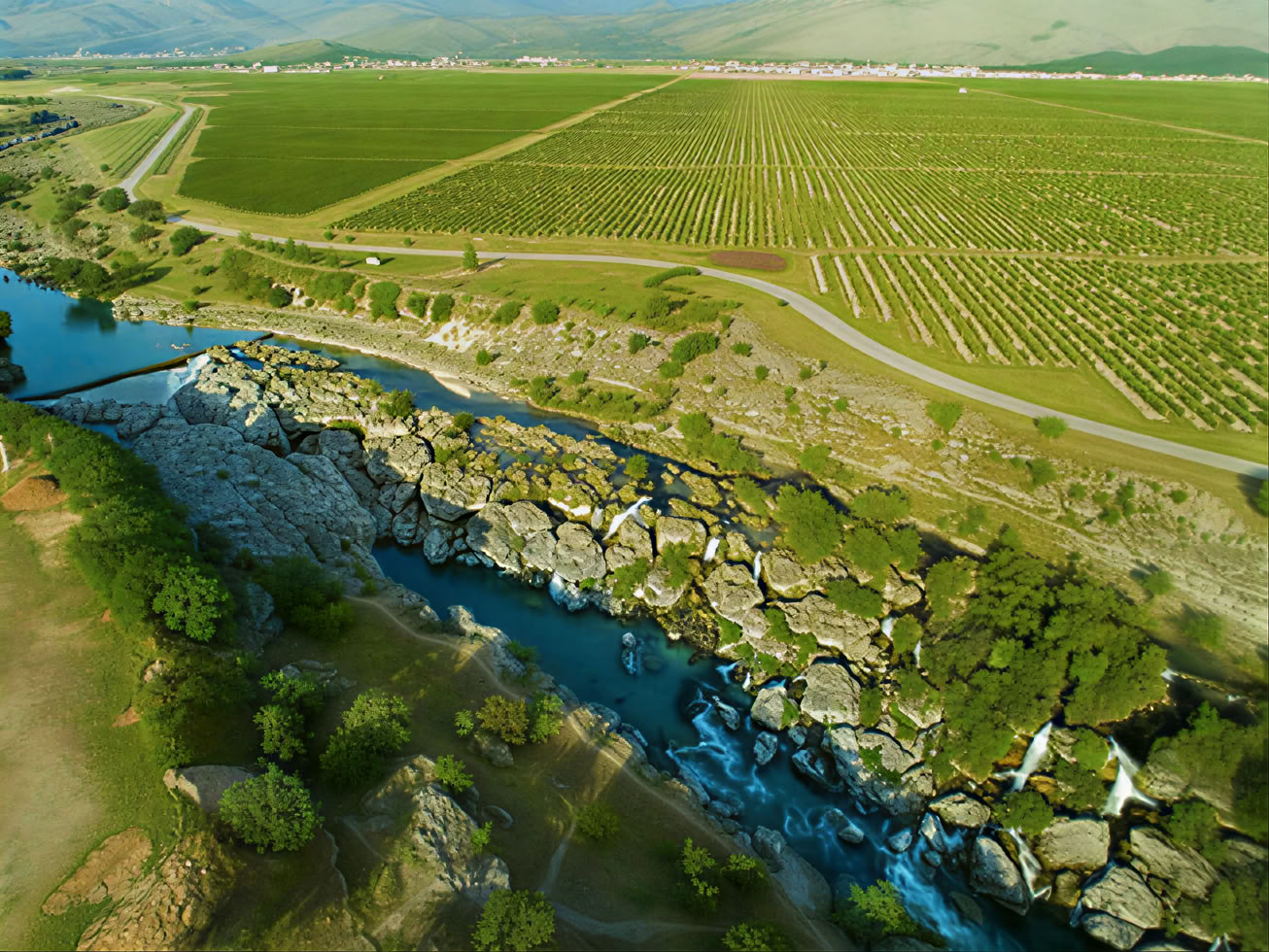 Visite des vins traditionnelle et moderne mixte