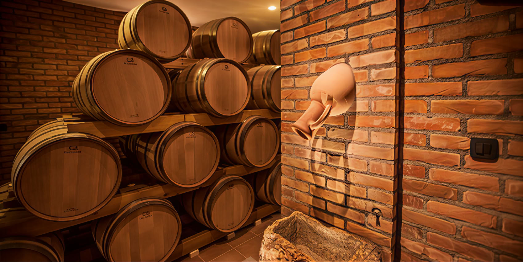 Visite des vins traditionnelle et moderne mixte