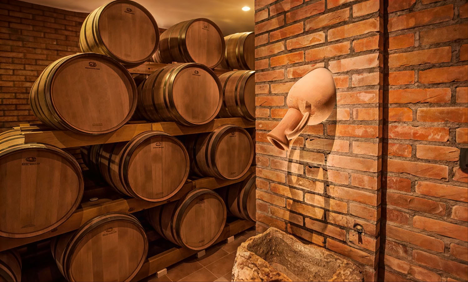 Tour de la route des vins du Monténégro