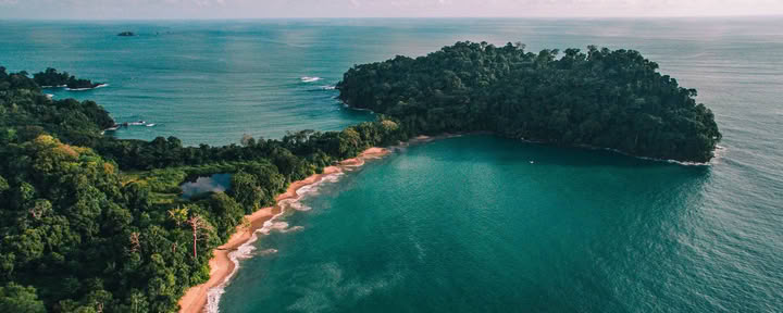 Excursion d’une journée à Manuel Antonio (une excursion d’une journée à San Jose)