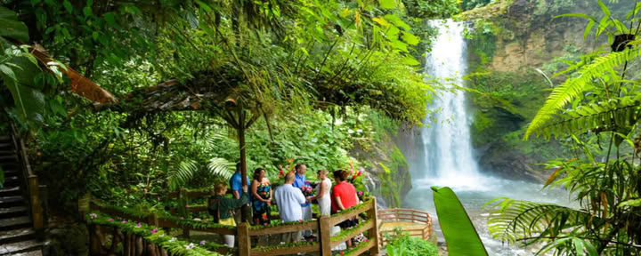 Jardins de la cascade de La Paz