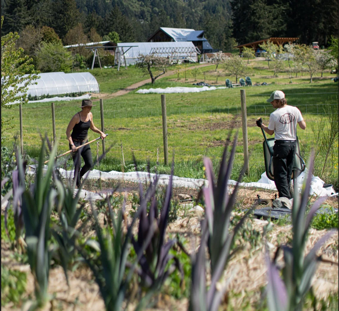 Préparer le jardin pour la prochaine saison