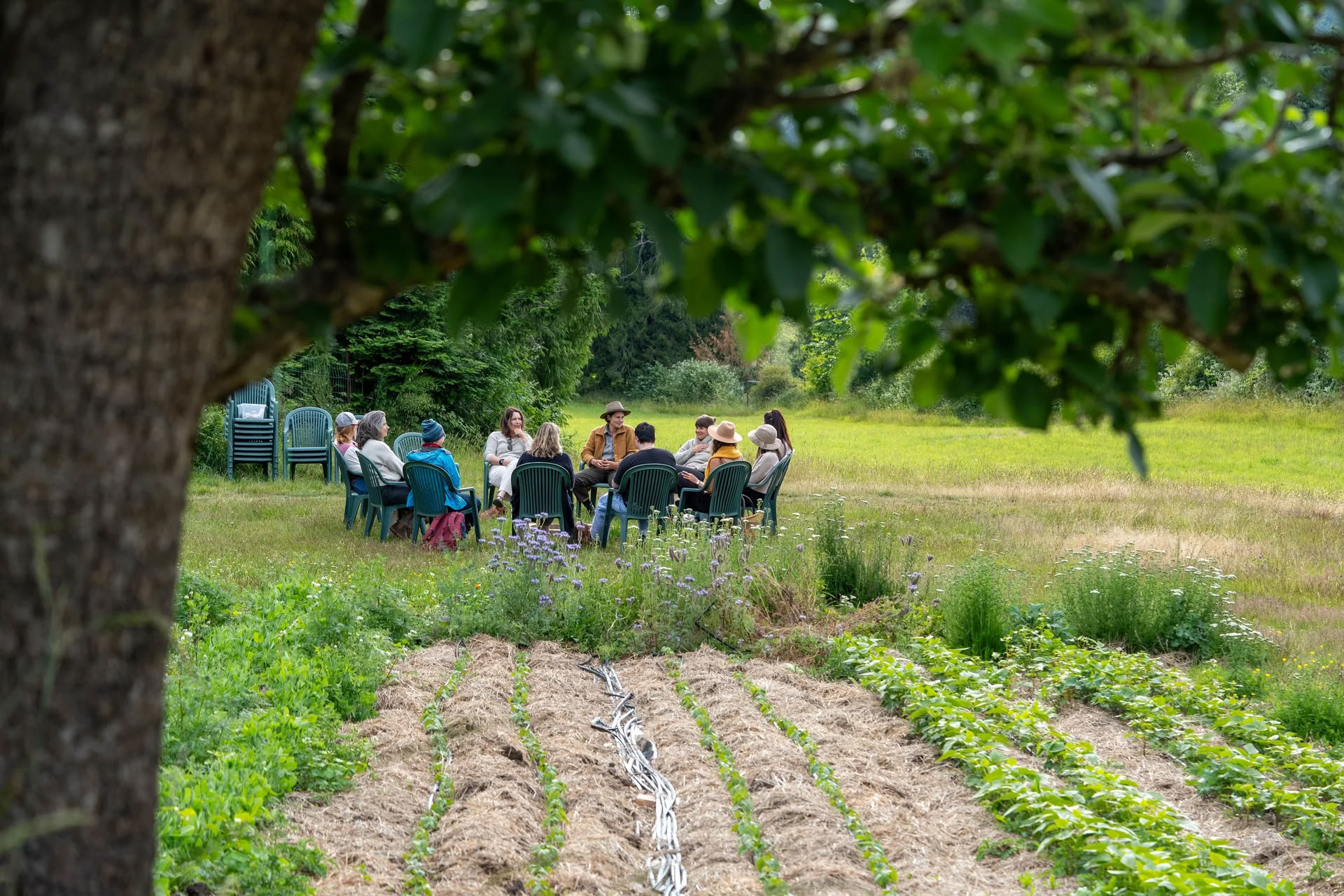 Growing un jardin potager d’hiver — Stowel Lake Farm