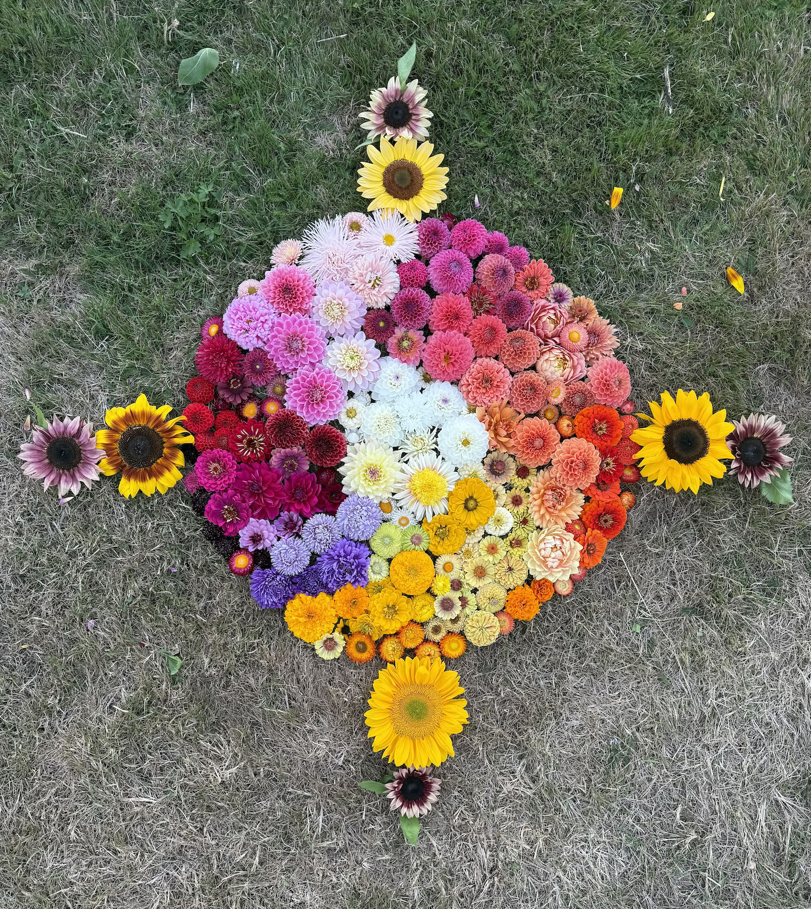 Flowers, Yoga, Horses - Retraite d’été 2026 — Stowel Lake Farm