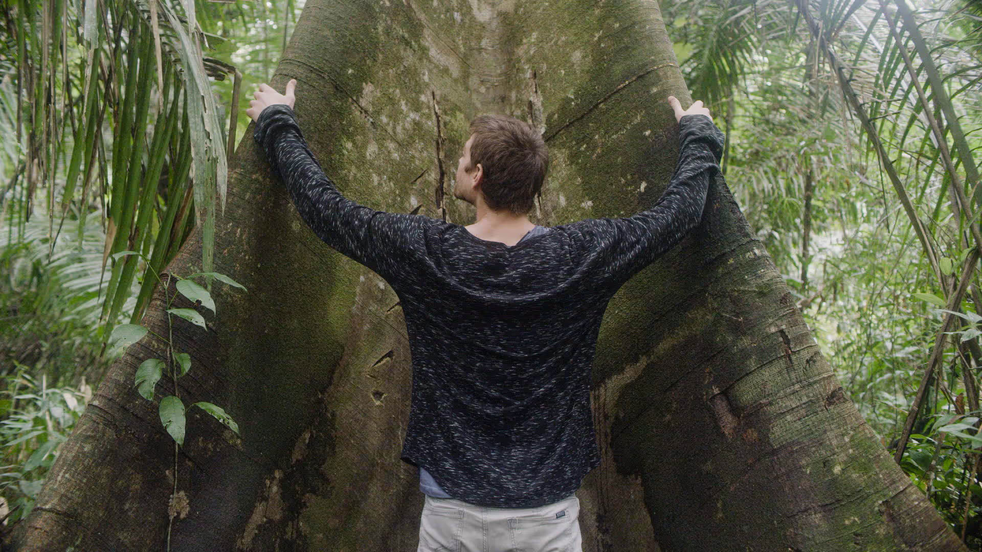 Retraite d'Ayahuasca de 14 jours
