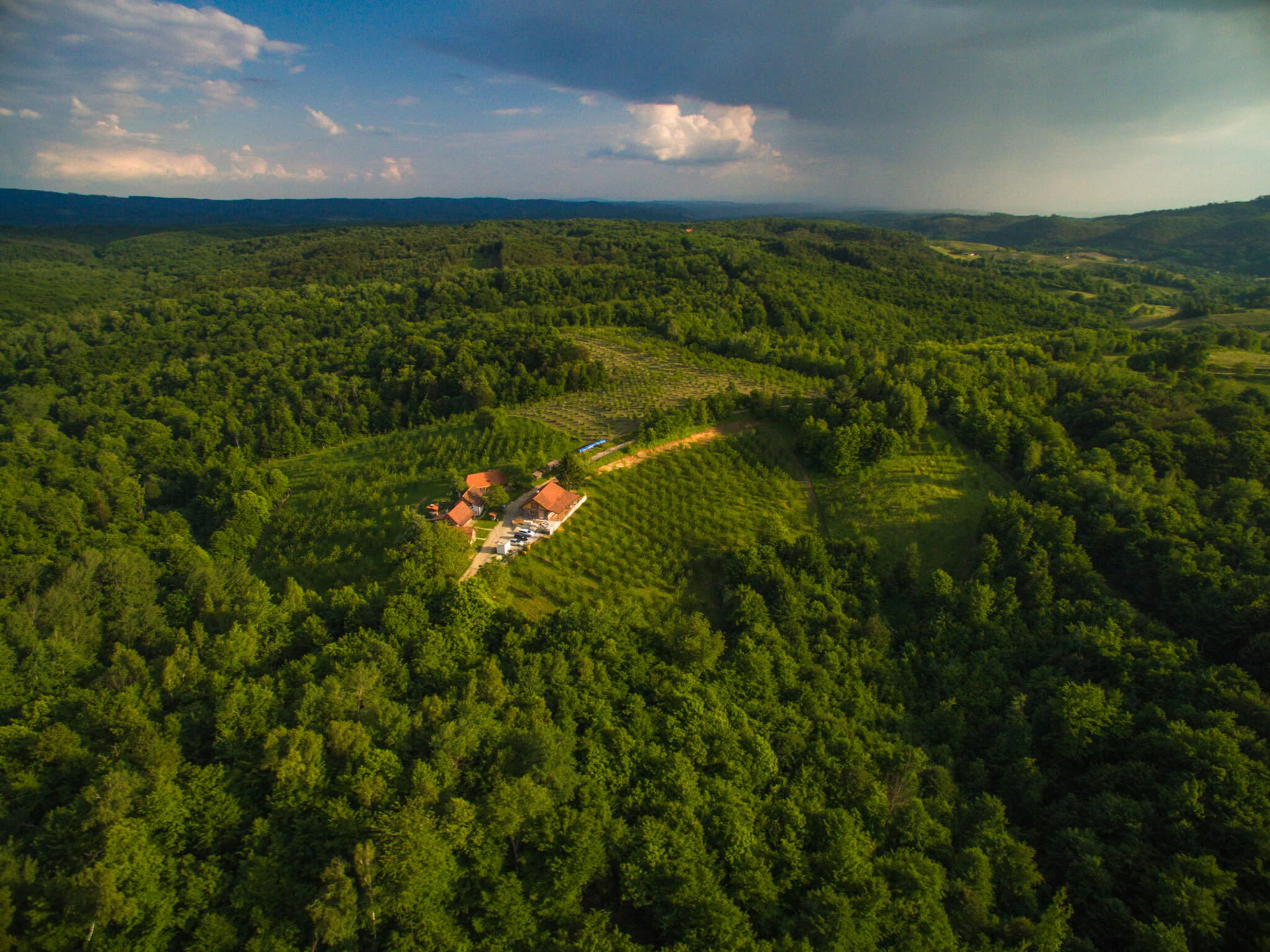 Retraite de yoga Forest Escape en Croatie