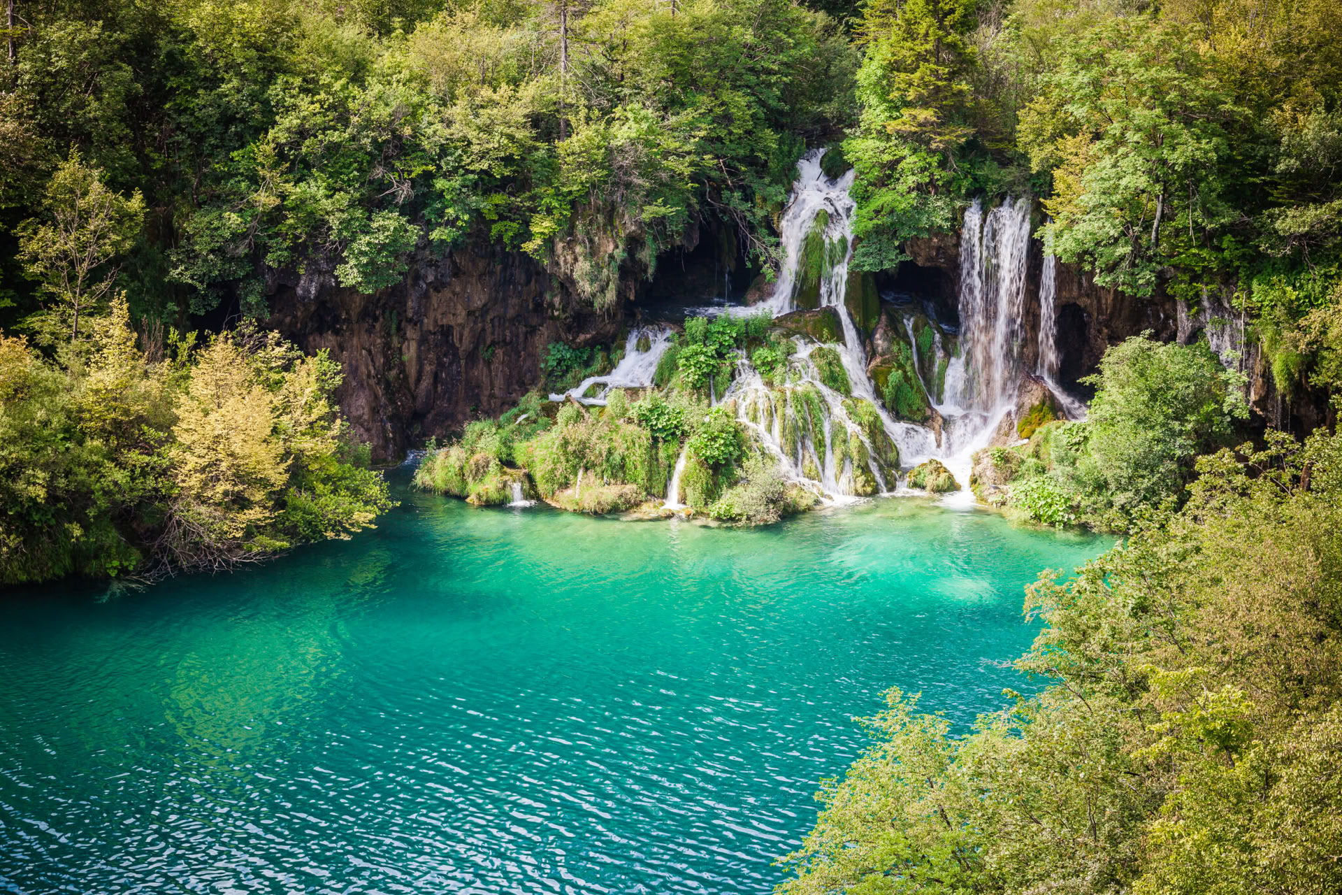 Retraite de yoga Forest Escape en Croatie