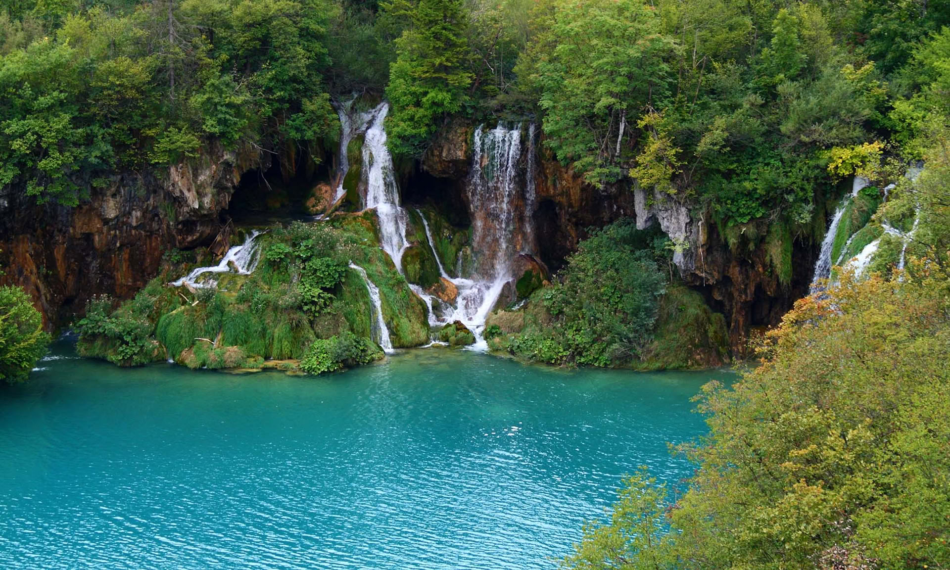 Retraite de yoga Forest Escape en Croatie