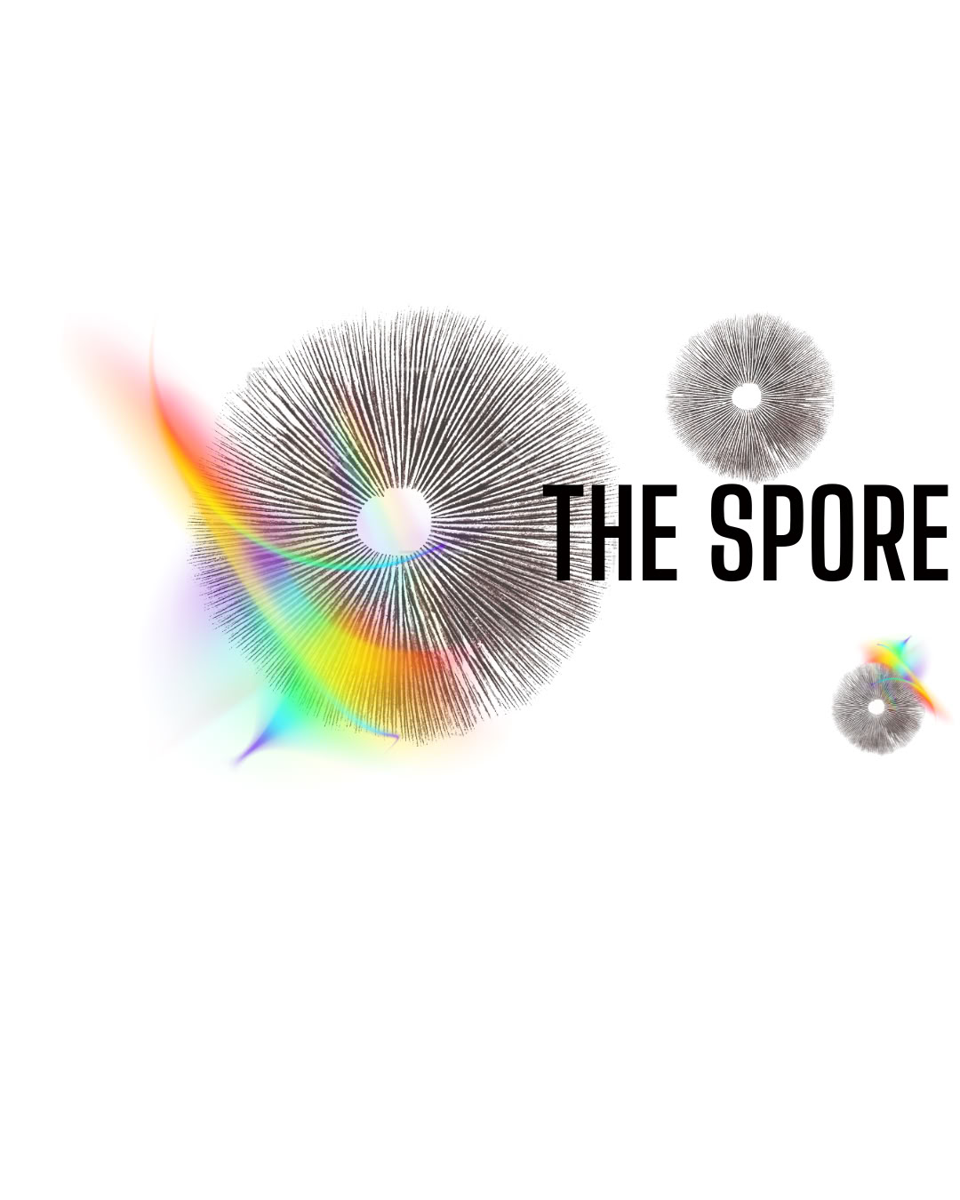 The Spore- Conseil de l’Insight