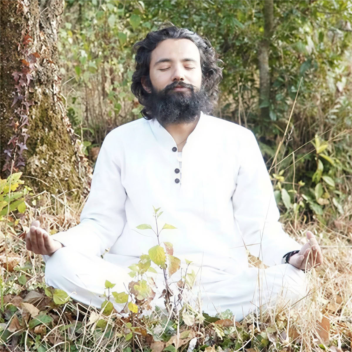 Formation de professeur de yoga de 200 heures au Népal - 22 jours – 01 juin - 22 juin 2026