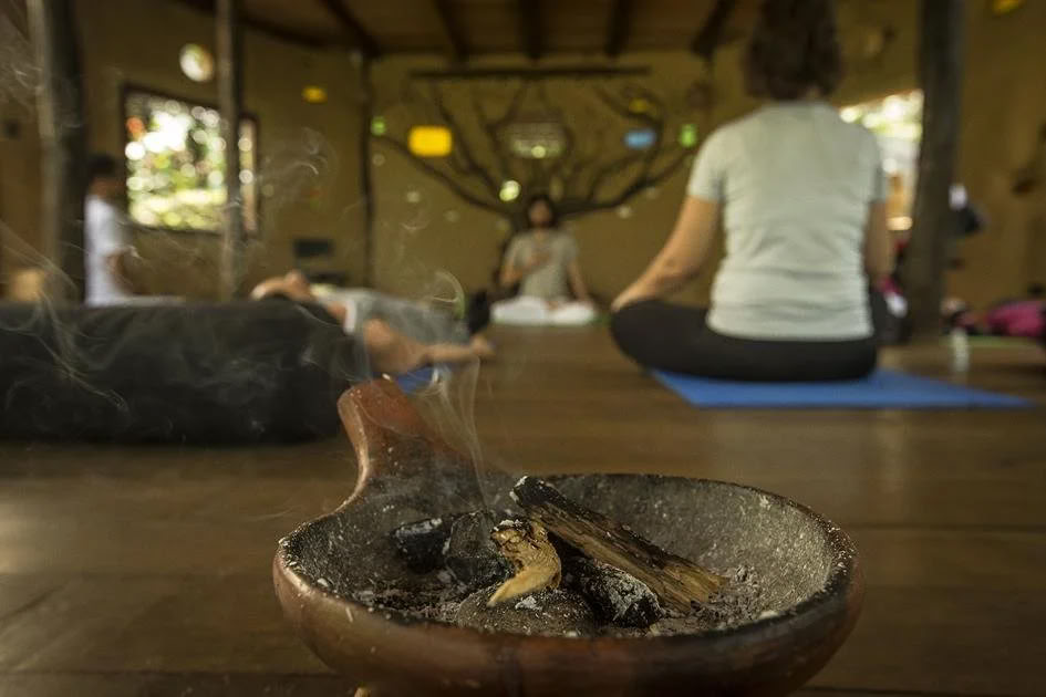 Retraite d'ayahuasca pour non-débutants