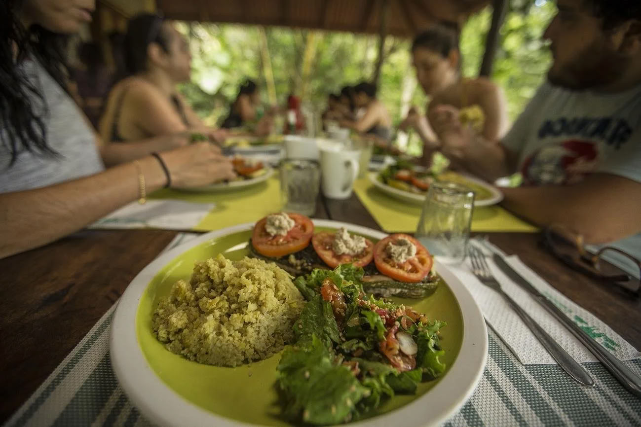 Retraite d'ayahuasca pour non-débutants