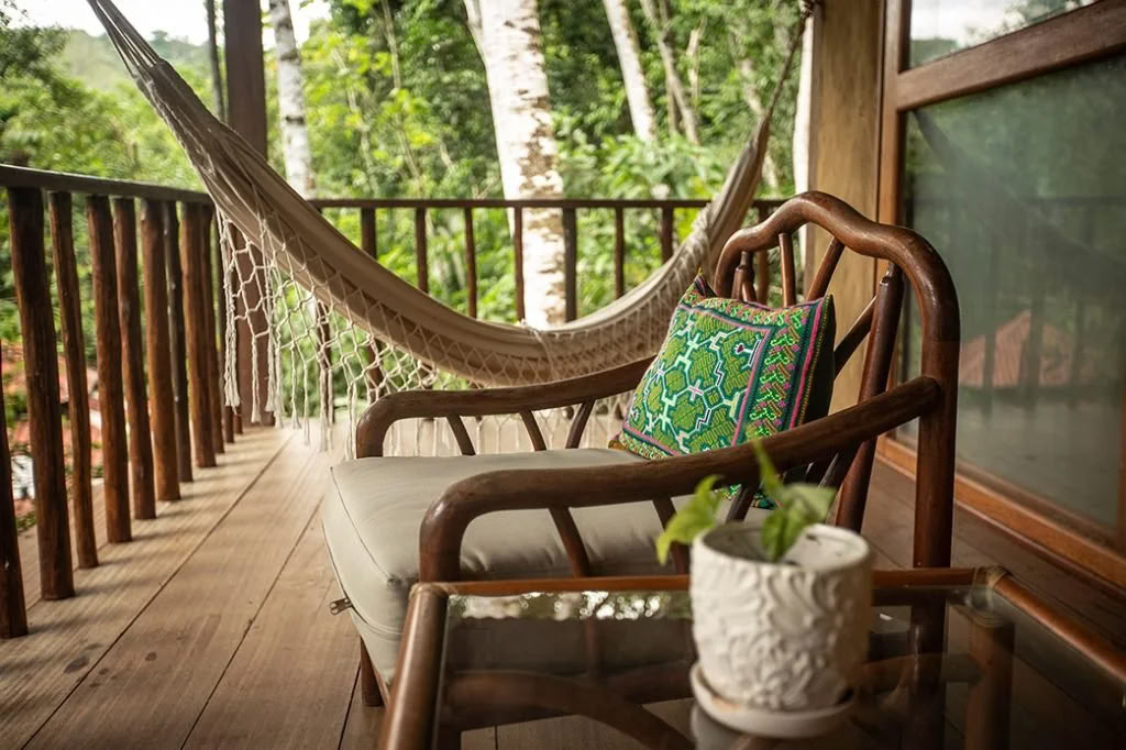 Retraite Ayahuasca de régime de plantes