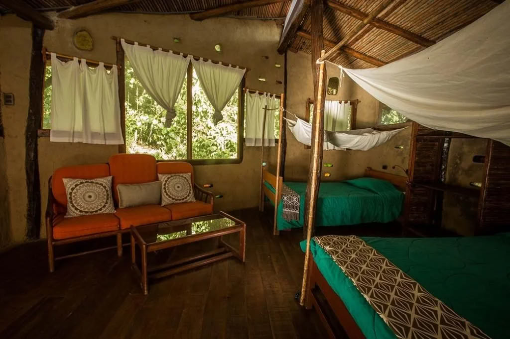 Retraite Ayahuasca de régime de plantes