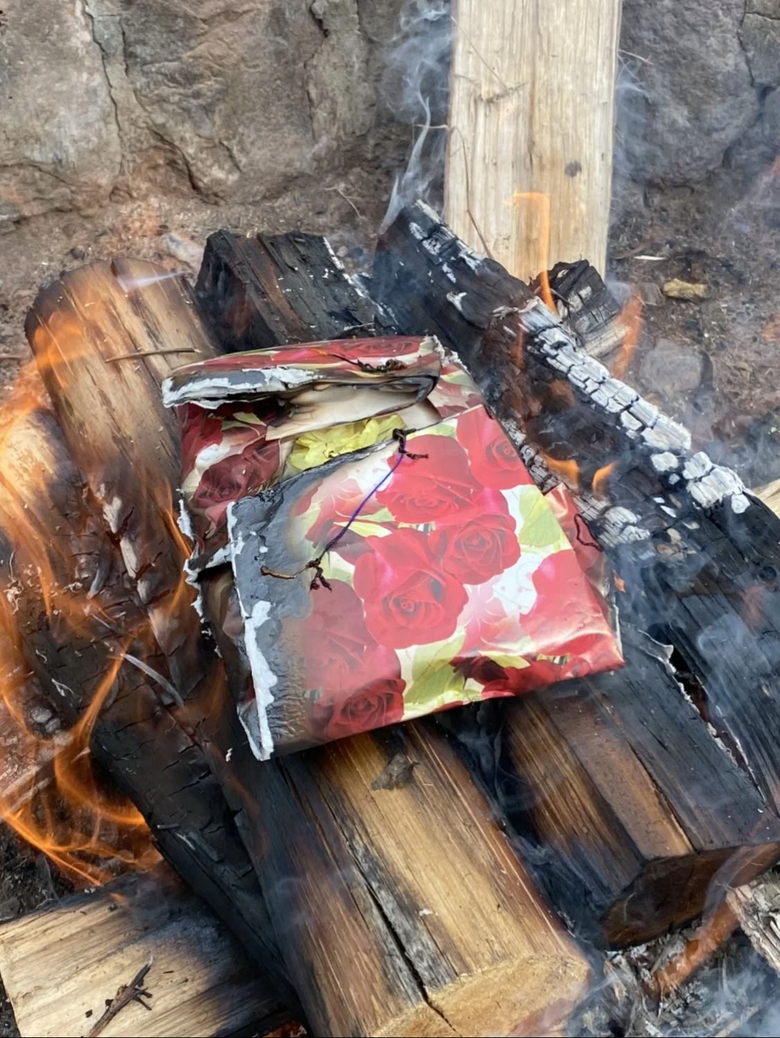 Retraite Ayahuasca de régime de plantes