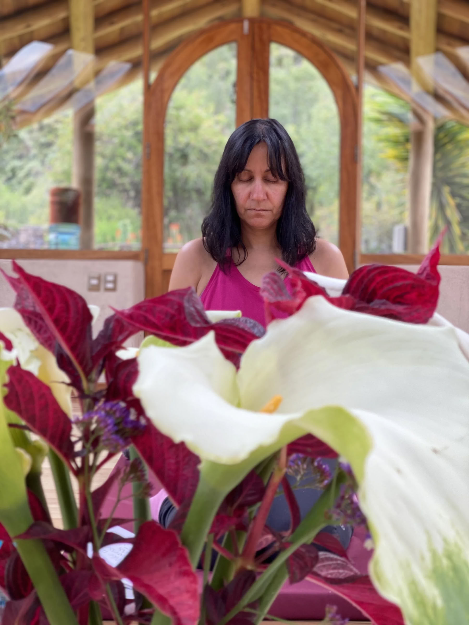 Retraite Ayahuasca de régime de plantes