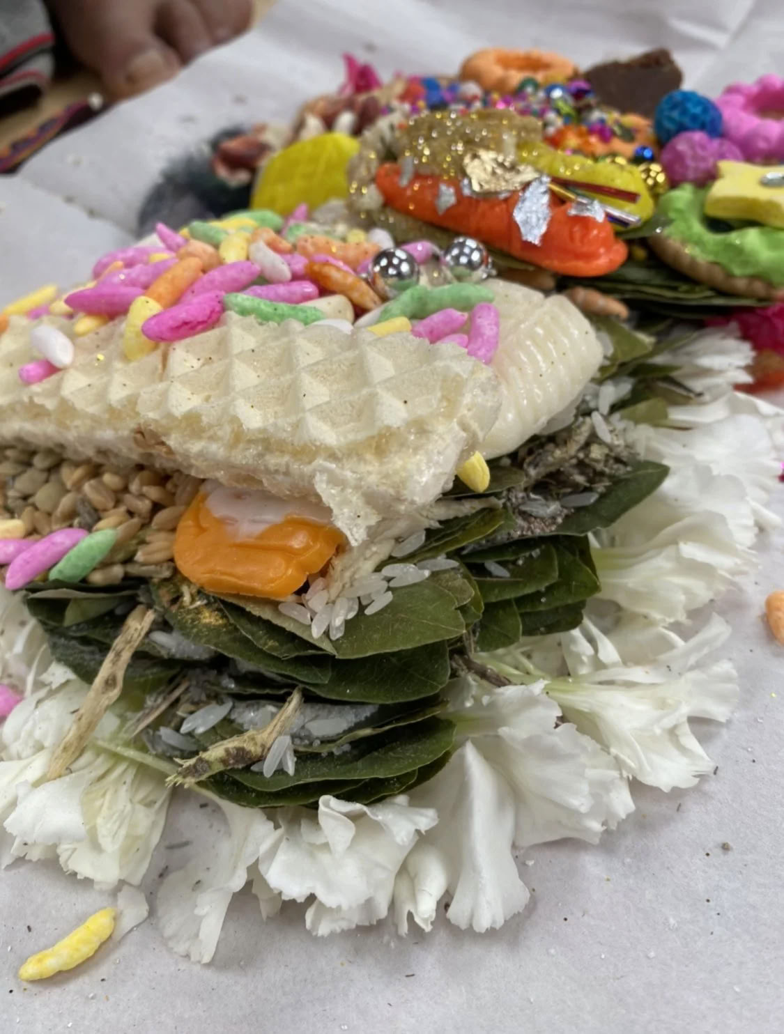Retraite Ayahuasca bourse