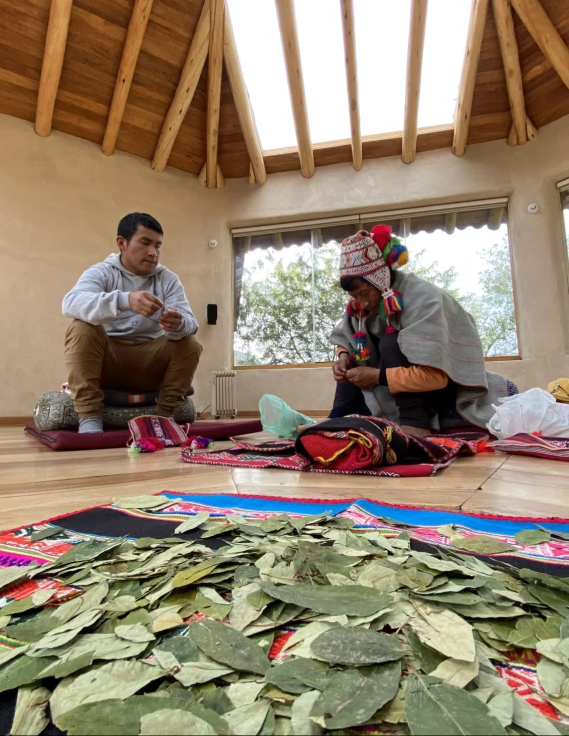 Retraite Ayahuasca bourse