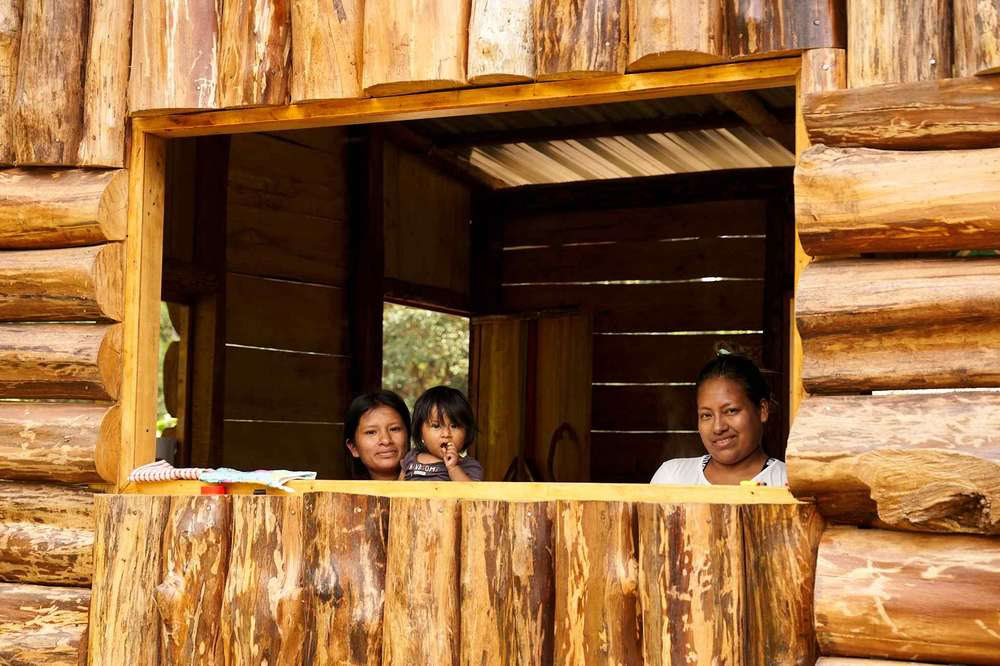 Retraite d’initiation à l’ayahuasca : 7 et 14 jours – 10-31 janvier 2027