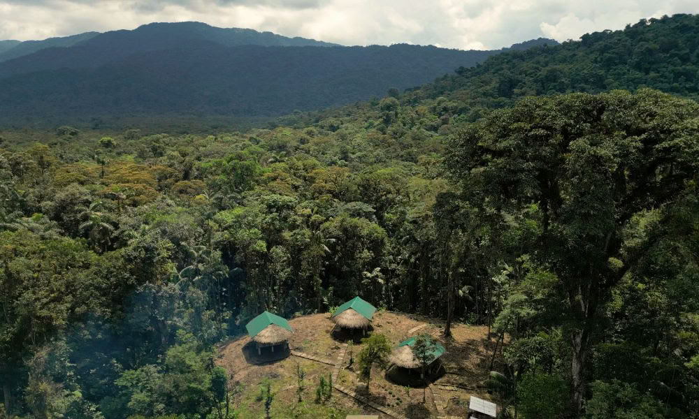 Retraite d’initiation à l’ayahuasca : 7 et 14 jours – 10-31 janvier 2027