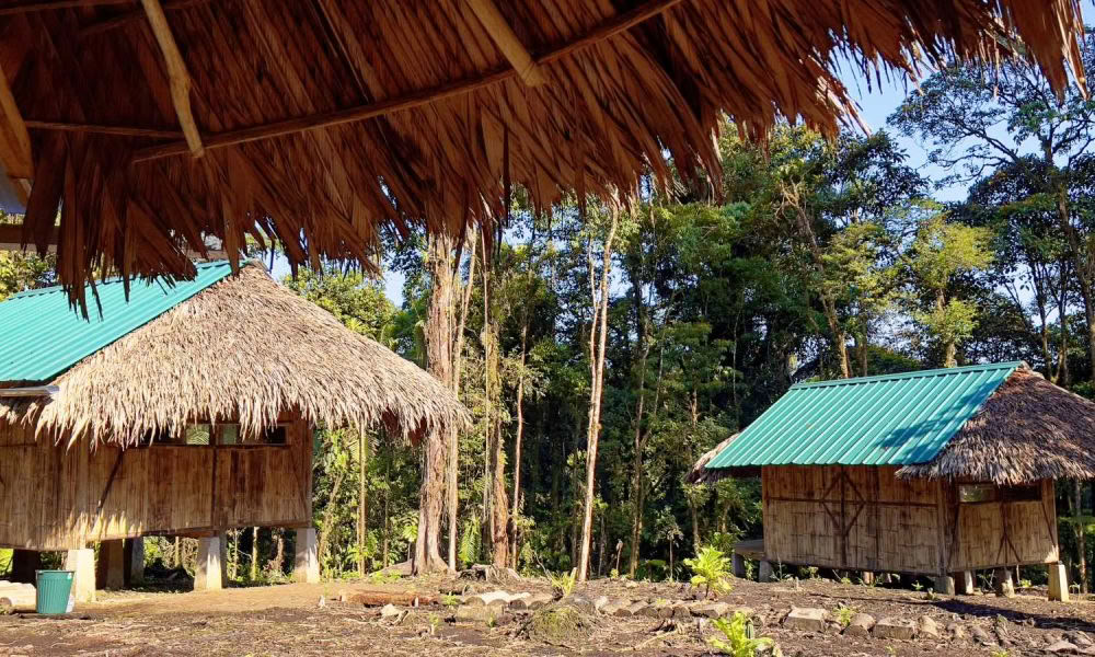 Retraite d’initiation à l’ayahuasca : 7 et 14 jours – 10-31 janvier 2027