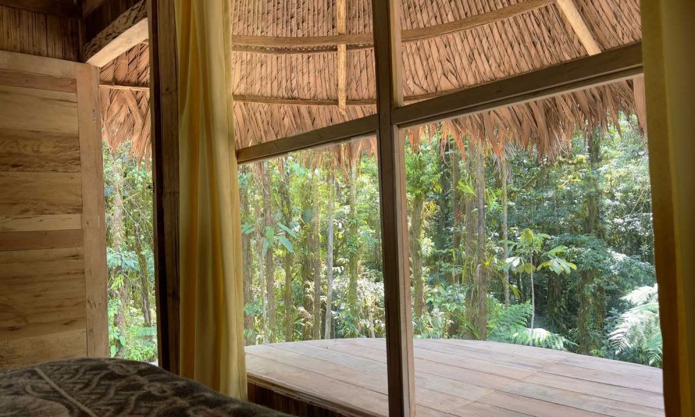 Retraite d’initiation à l’ayahuasca : 7 et 14 jours – 10-31 janvier 2027