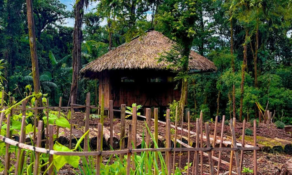 Retraite d’initiation à l’ayahuasca : 7 et 14 jours – 10-31 janvier 2027