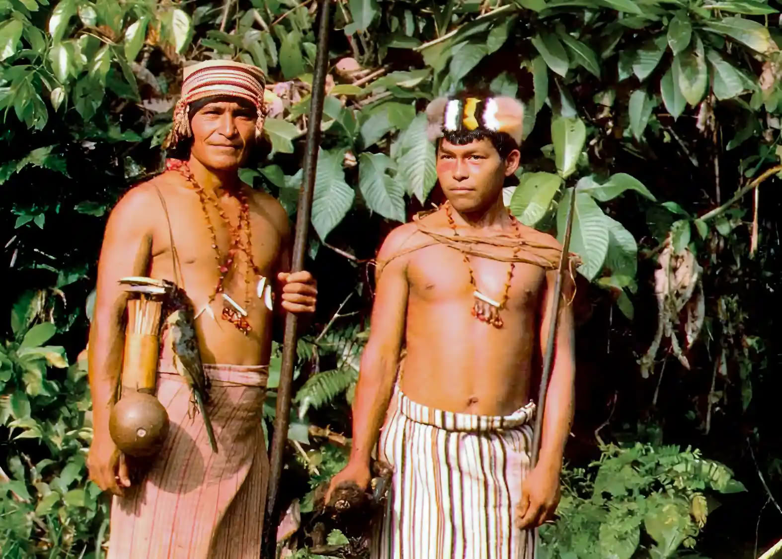 Retraite d’initiation à l’ayahuasca : 7 et 14 jours – 10-31 janvier 2027